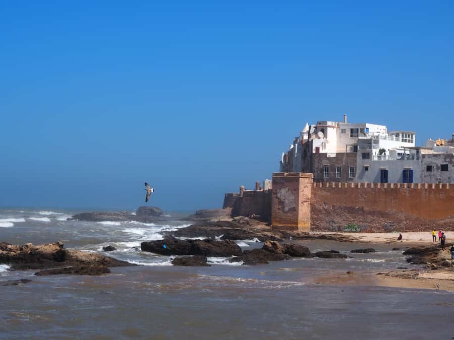 Marrakech: Essaouira Day Trip with Transfers and Co-op Visit - The Morning Pickup and Three-Hour Road Journey