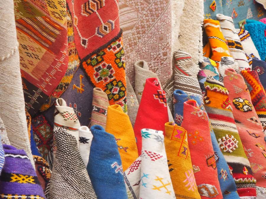 Marrakech: Essaouira Day Trip with Transfers and Co-op Visit - Argan Trees, Goats, and the Women’s Cooperative
