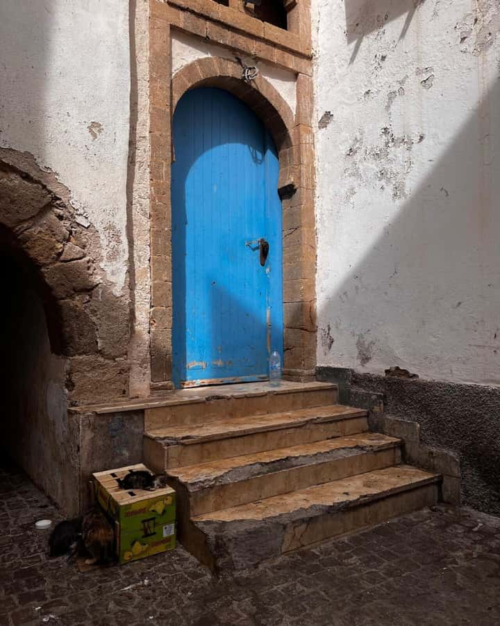 Marrakech: Essaouira Day Trip with Transfers and Co-op Visit - What the Guides Add to the Day