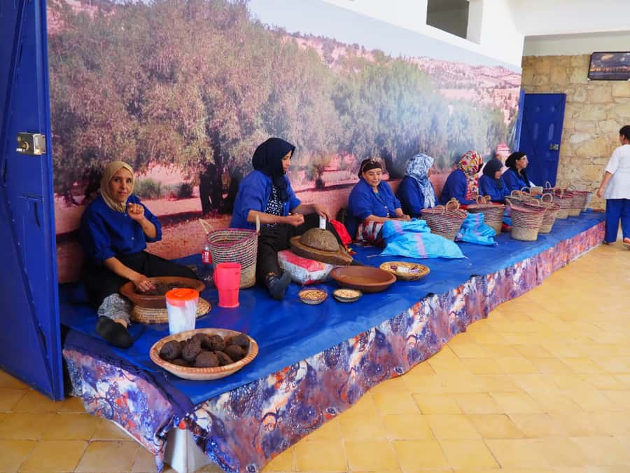 Marrakech: Essaouira Day Trip with Transfers and Co-op Visit - Transport, Comfort, and Group Size