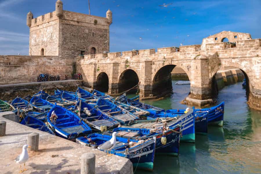 Marrakech: Essaouira Full-Day Trip - Key points at a glance