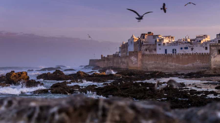 Marrakech: Essaouira Full-Day Trip - Three hours on the road, with useful breaks