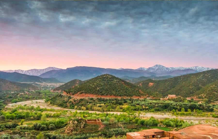 Marrakech: Ourika Valley Day Trip & Waterfalls Hike - The Ourika Valley stop and the Berber way of life