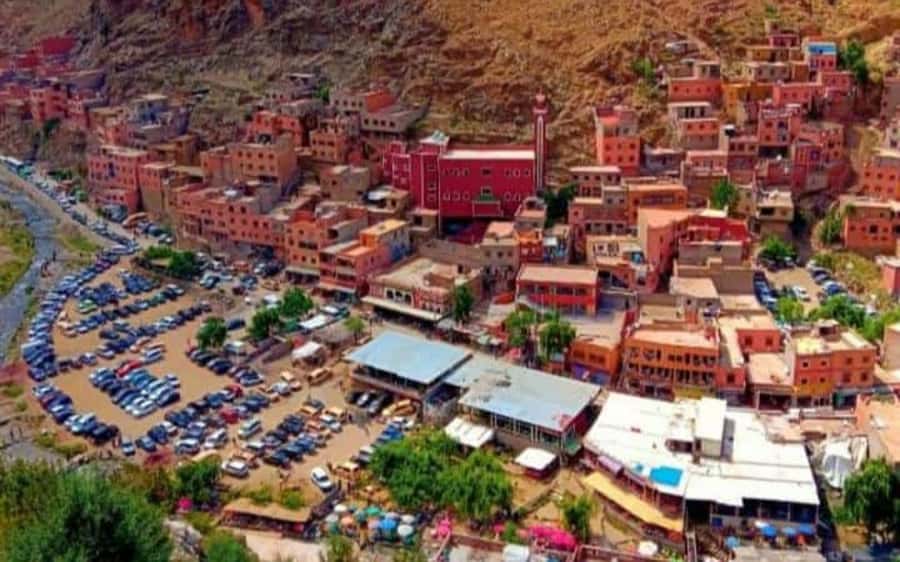 Marrakech: Ourika Valley Day Trip with Berber Village - Who will enjoy this Ourika day trip