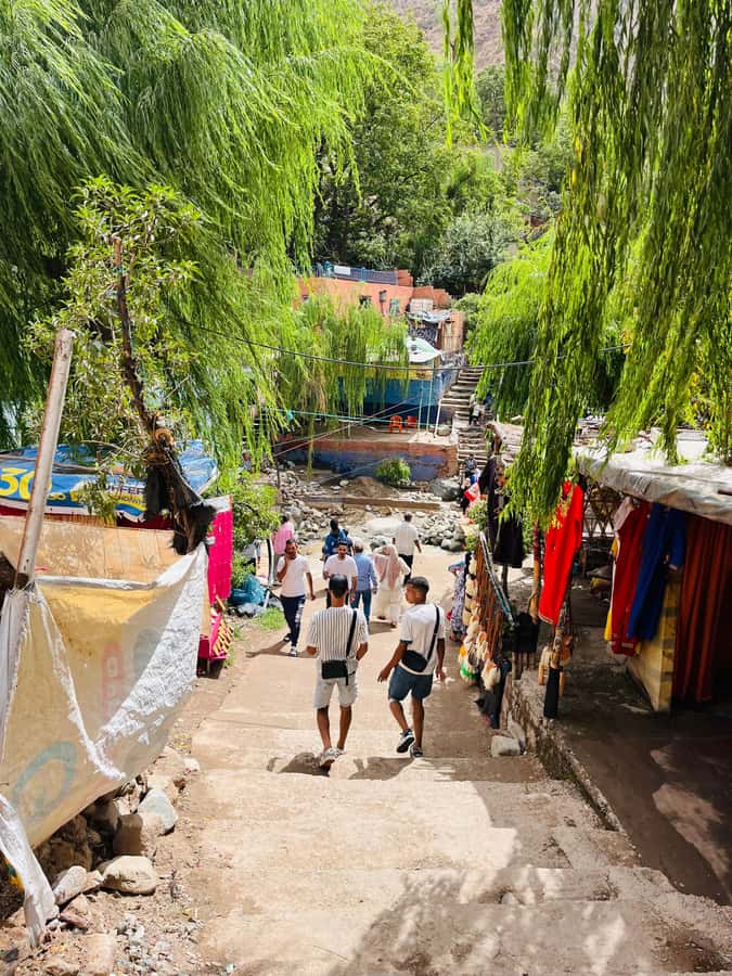 Marrakech: Ourika Valley Waterfalls & guided hike - What $10 really buys you