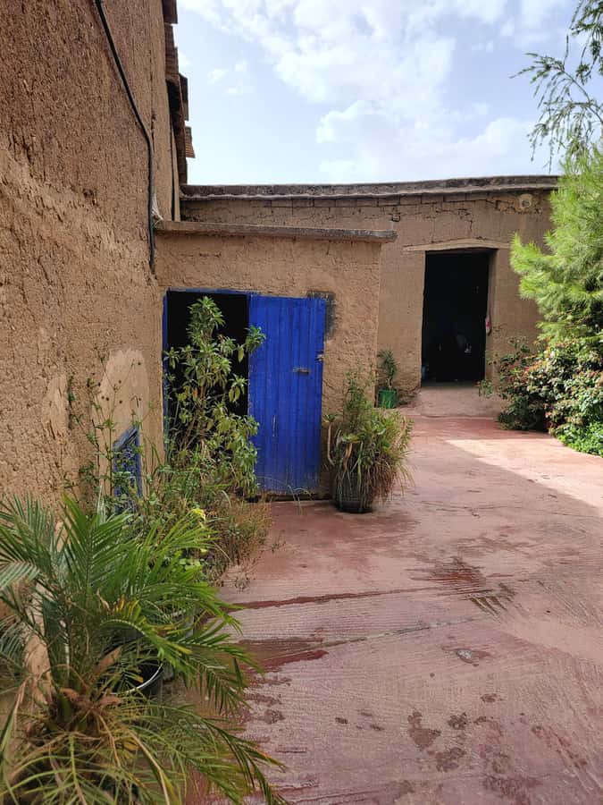 Marrakech: Ourika Valley, Waterfalls Private Trip with Lunch - Is $79 per person good value?
