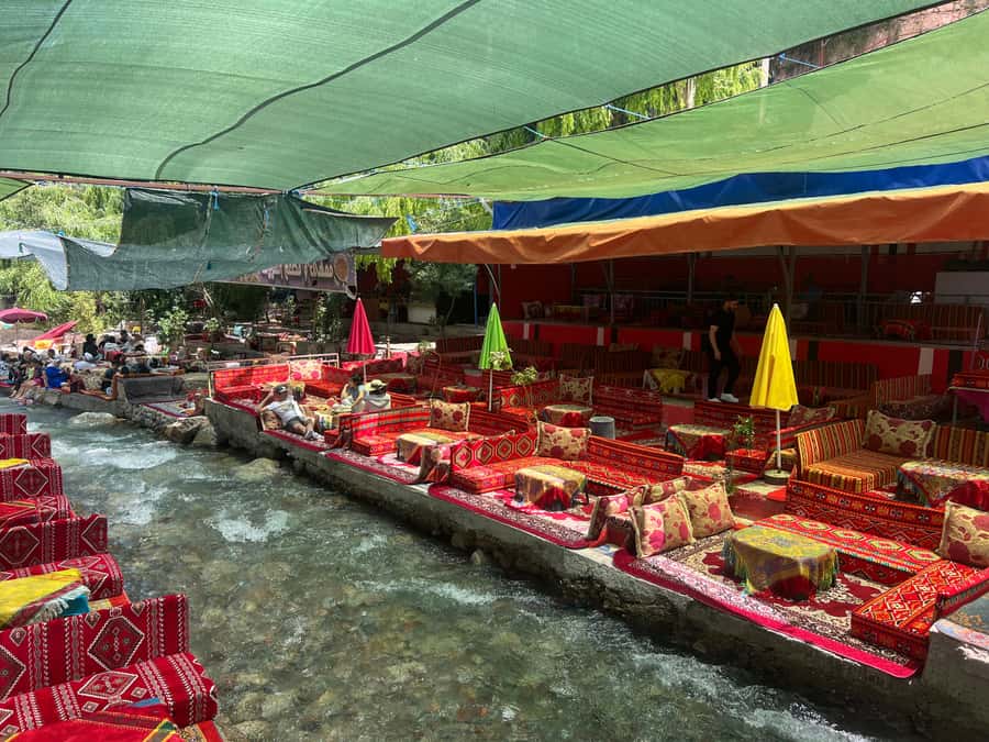 Marrakesh: Ourika Valley & Atlas Mountains Day Trip + Lunch - Timing, comfort, and group size