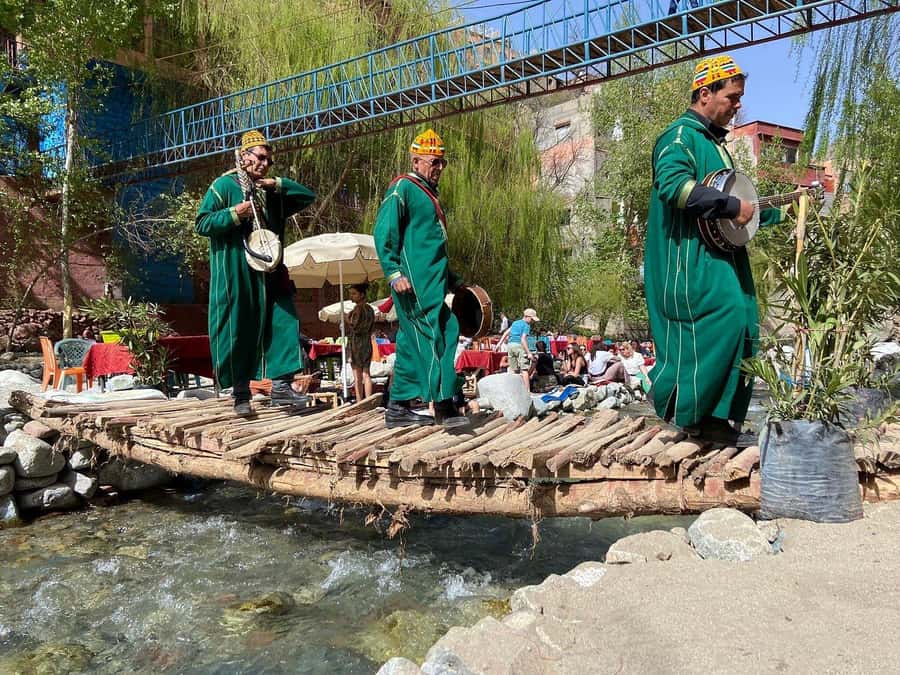 Marrakesh: Ourika Waterfalls, Atlas Mountains, Lunch + Guide - Who should book this Ourika trip