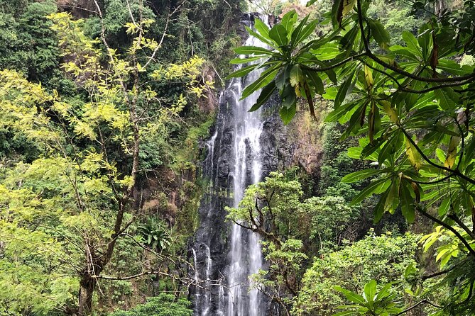 Materuni waterfalls coffee tour & Chemka hot springs Day trip - Private touring and the value of $95