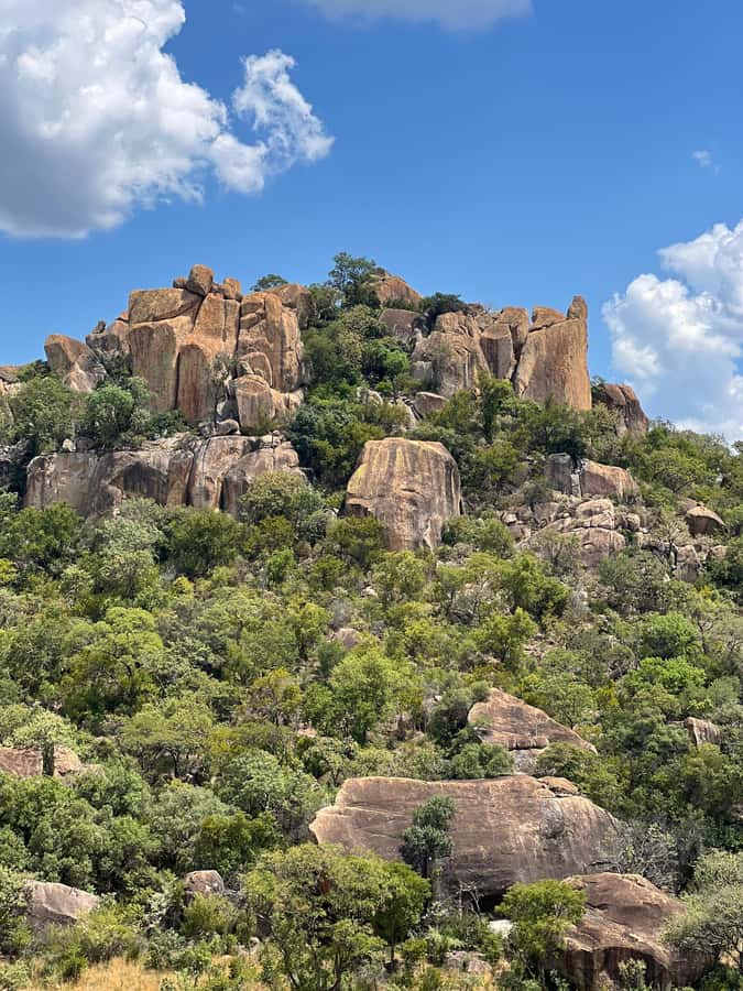 Matobo Hills Day Trip with Rhino Tracking - Lunch with a view, not just a box in the vehicle