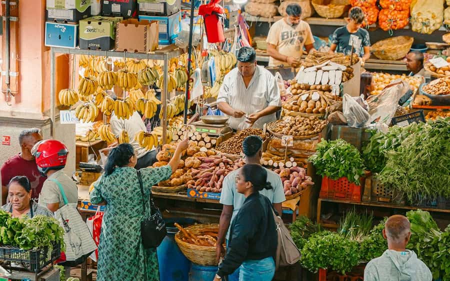 Mauritius: Port Louis and Northern Highlights Full-Day Trip - Port Louis Market is the most local stop