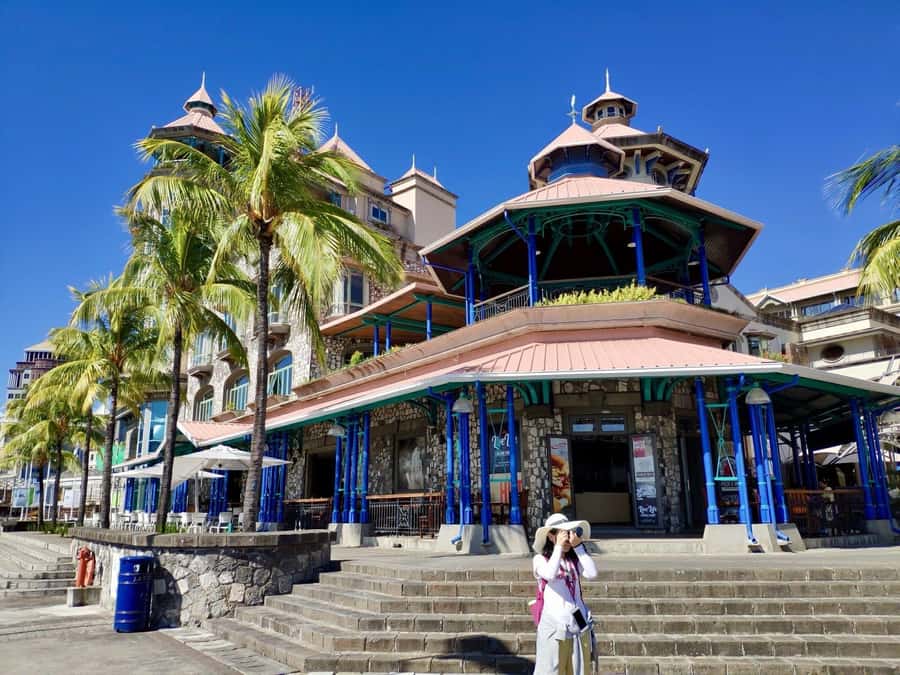 Mauritius: Port Louis and Northern Highlights Full-Day Trip - What your driver adds to the experience