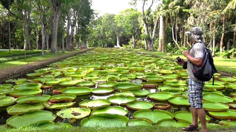 Mauritius: Port Louis and Northern Highlights Full-Day Trip - Fort Adelaide gives you the right first view