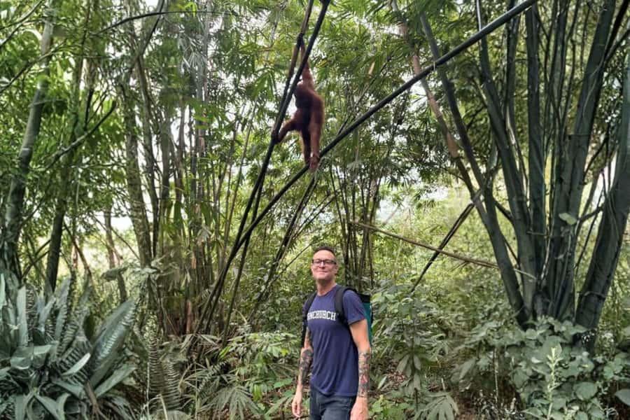 Medan: Mount Leuser National Park Full-Day Trip - Hiking beneath Mount Leuser’s rainforest canopy