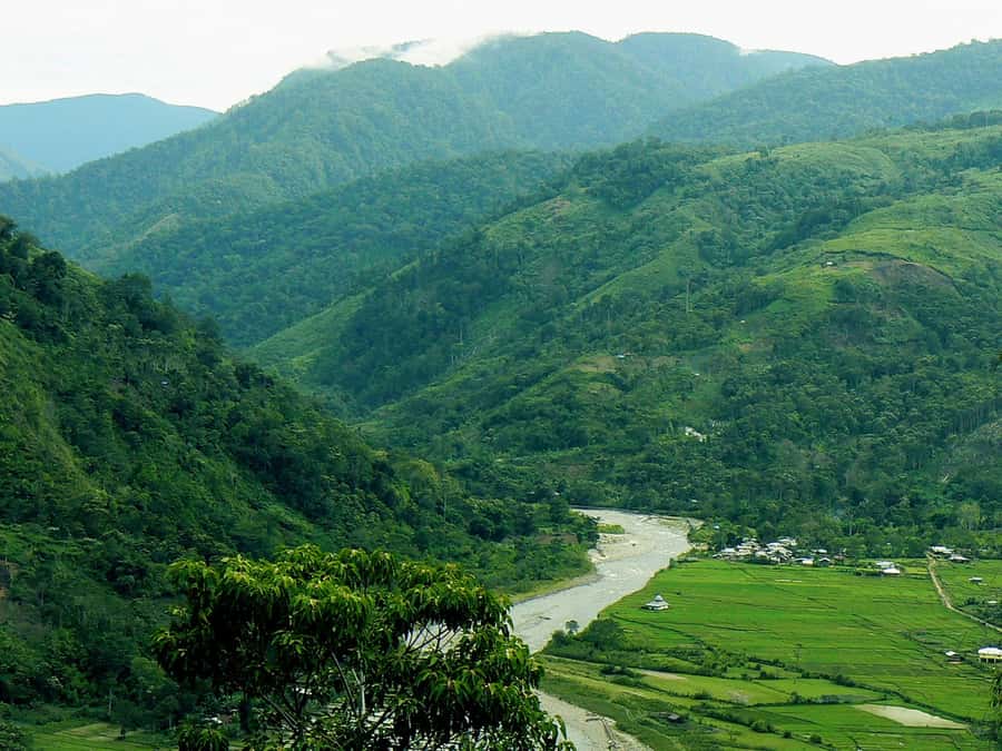 Medan: Mount Leuser National Park Full-Day Trip - Finding orangutans with Ruslan, Mamat, and the park team