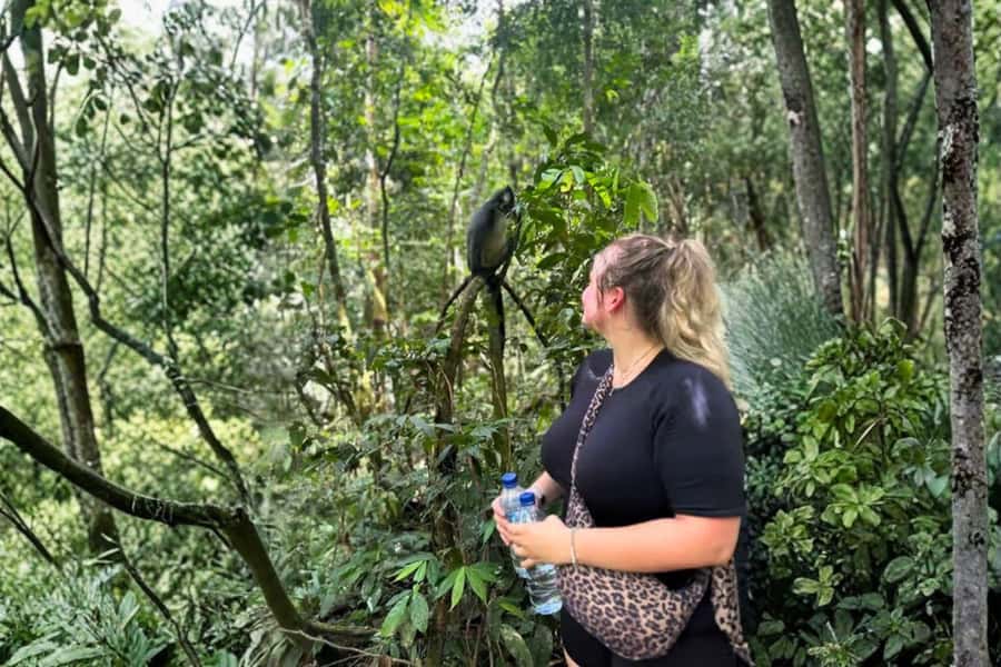 Medan: Mount Leuser National Park Full-Day Trip - What the guide adds beyond animal spotting