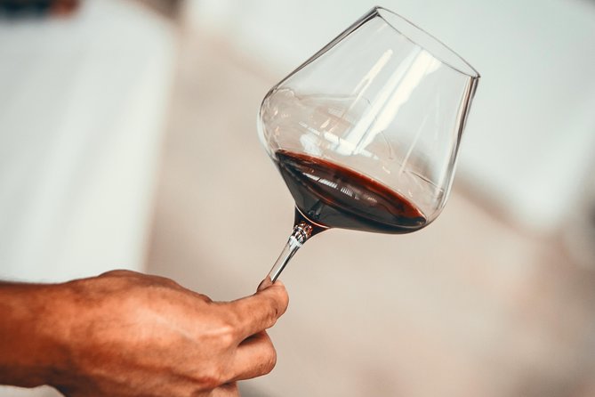 Medoc Region Wine Day Trip with Vineyard Visits & Tastings from Bordeaux - Five things to know before you book