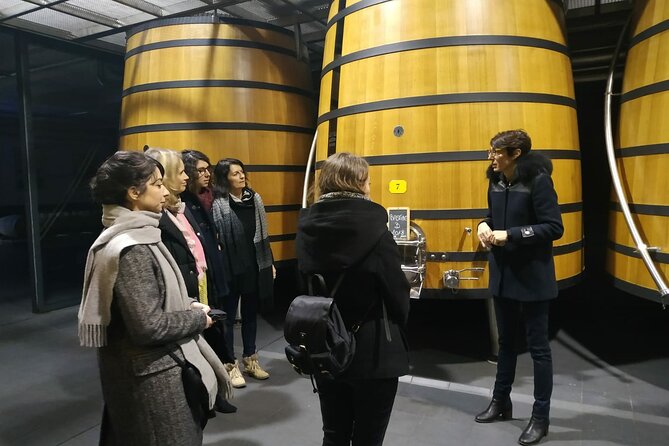 Medoc Region Wine Day Trip with Vineyard Visits & Tastings from Bordeaux - Why Médoc makes a strong Bordeaux day trip