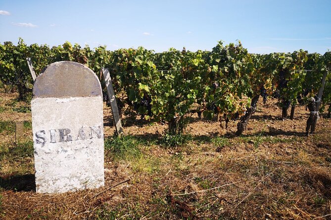Medoc Region Wine Day Trip with Vineyard Visits & Tastings from Bordeaux - Second stop: Pauillac or Saint-Estèphe