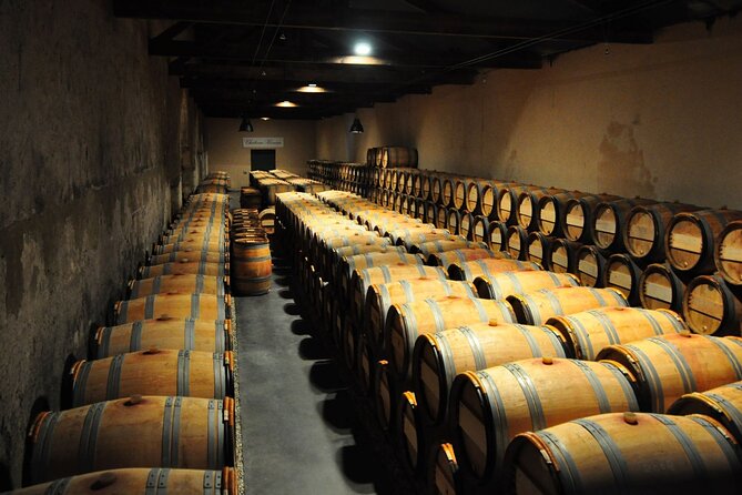 Medoc Region Wine Day Trip with Vineyard Visits & Tastings from Bordeaux - The guide can make or break the day