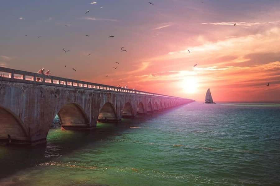 Miami to Key West Day Trip with Optional Activities - Who will enjoy this Key West trip most