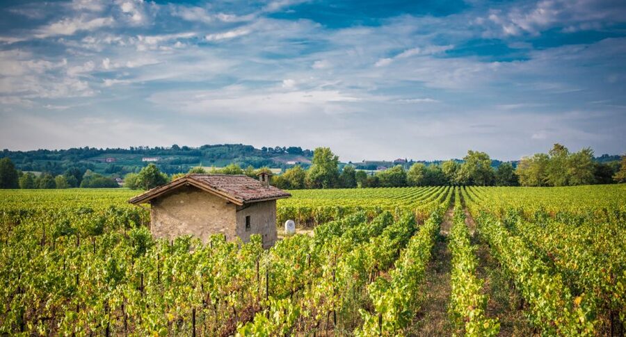 Milan: Franciacorta Winery and Bergamo Day Trip with Lunch - Why Franciacorta makes a good day trip from Milan