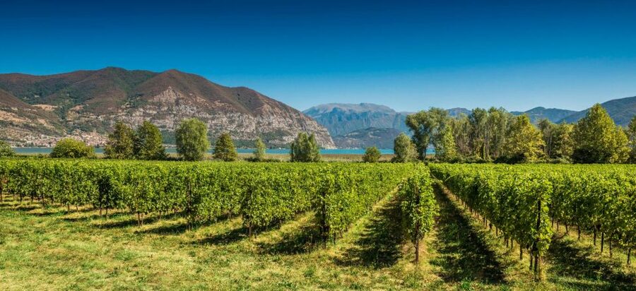 Milan: Franciacorta Winery and Bergamo Day Trip with Lunch - Comfort, timing, and the day’s pace