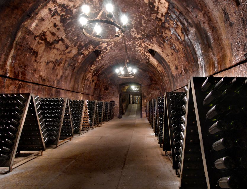 Milan: Franciacorta Winery and Bergamo Day Trip with Lunch - Starting at Bignami and riding into Lombardy