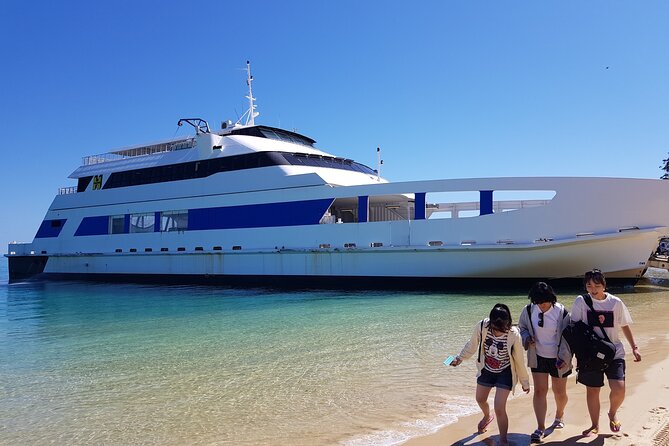 Moreton Island Day Trip (Kayak, Snorkel & Sandboard) frm Brisbane or Gold Coast - Transparent kayaks and bodyboards