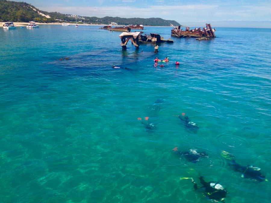 Moreton Island Day-Trip to Scuba Dive and More - Key points to know before booking