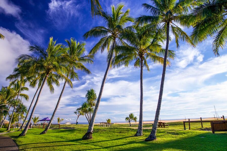 Moreton Island: Tangalooma Day Trip & Whale Watching Cruise - Returning to Brisbane by 5:15 PM