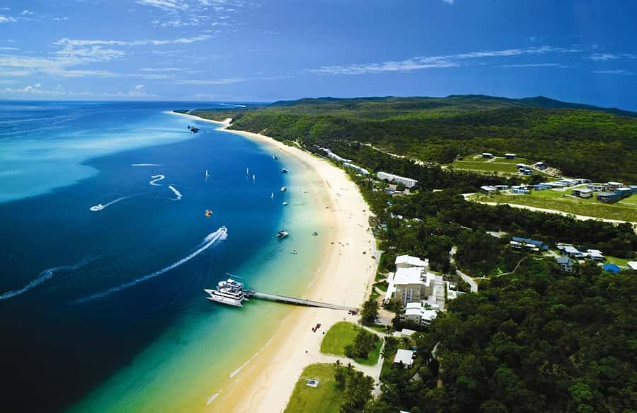 Moreton Island: Tangalooma Day Trip & Whale Watching Cruise - From Brisbane to Moreton Island in 75 minutes