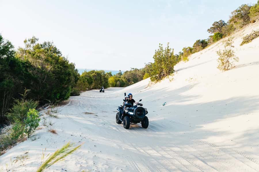 Moreton Island: Tangalooma Day Trip with ATV Quad Bike Tour - How to use the hours between the boat and the bike