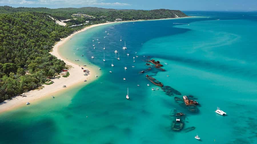 Moreton Island: Tangalooma Day Trip with ATV Quad Bike Tour - The 3:15pm dolphin talk and the ride home