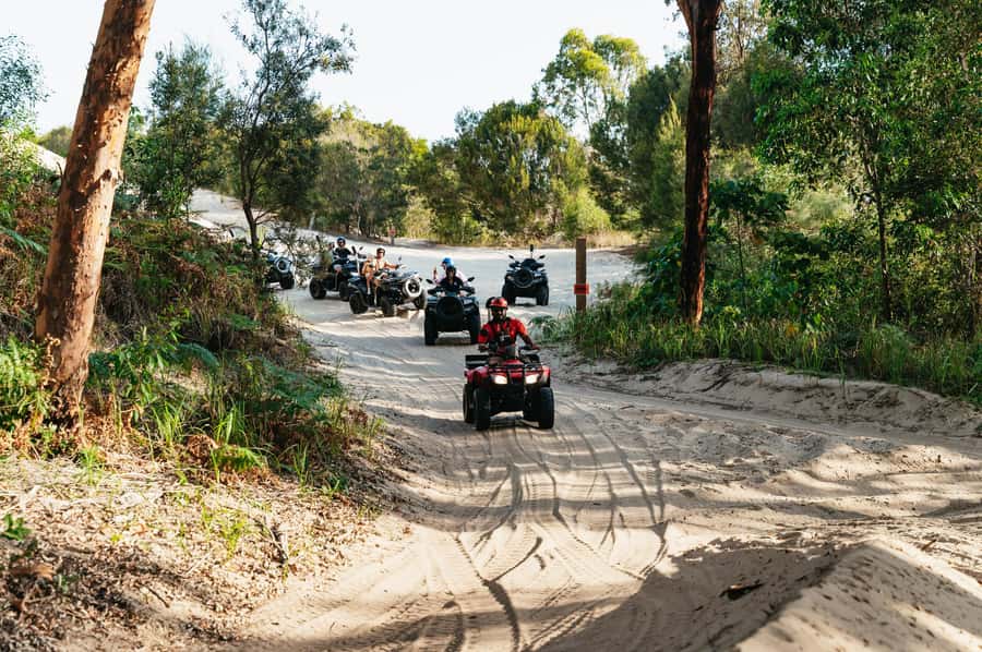 Moreton Island: Tangalooma Day Trip with ATV Quad Bike Tour - Who will enjoy this Moreton Island day trip?