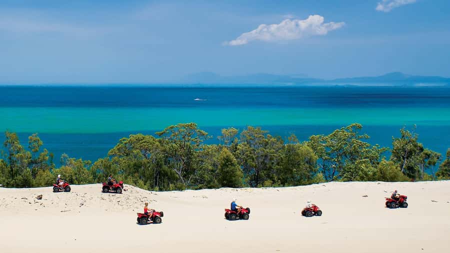 Moreton Island: Tangalooma Day Trip with ATV Quad Bike Tour - FAQ