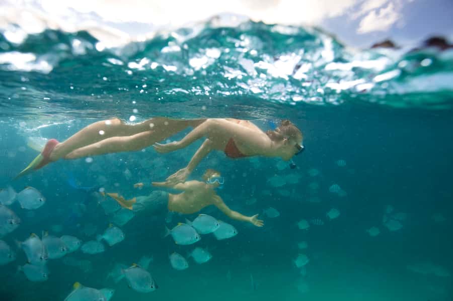 Moreton Island: Tangalooma Day Trip with Snorkeling Tour - The real draw: Moreton Island’s famous wrecks