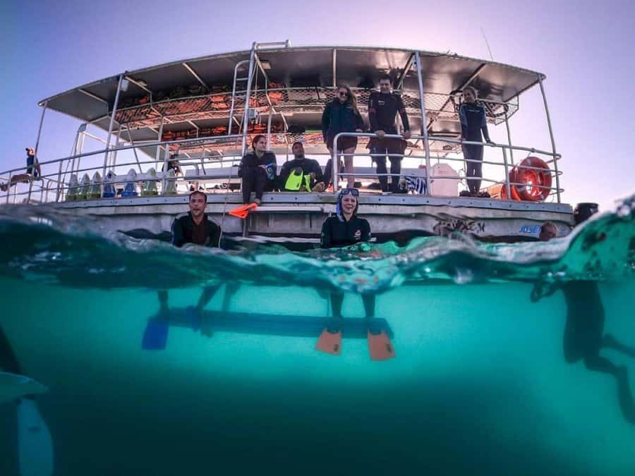 Moreton Island: Tangalooma Day Trip with Snorkeling Tour - Your tropical base at Tangalooma Island Resort