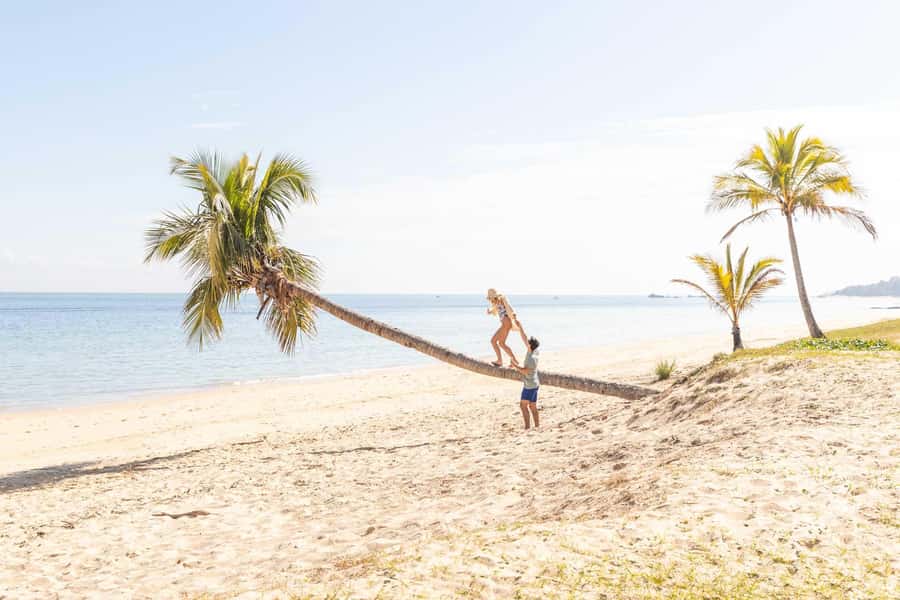 Moreton Island: Tangalooma Day Trip with Snorkeling Tour - Lunch and the practical value of the $119 price