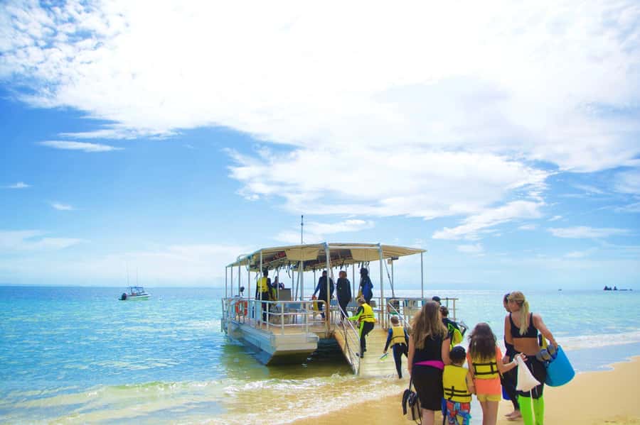 Moreton Island: Tangalooma Day Trip with Snorkeling Tour - Dolphin talks and Eco Ranger activities