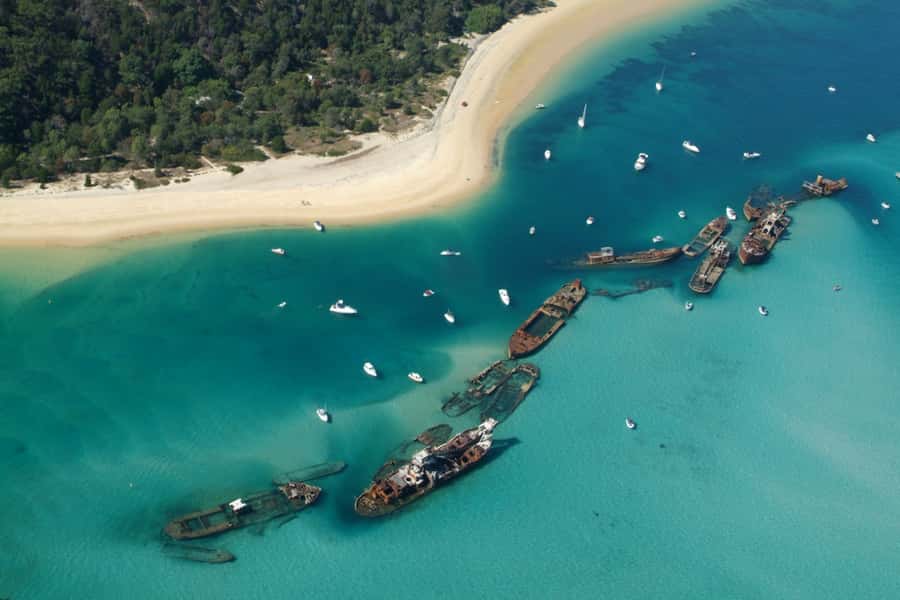 Moreton Island: Tangalooma Day Trip with Snorkeling Tour - Who will enjoy this trip most