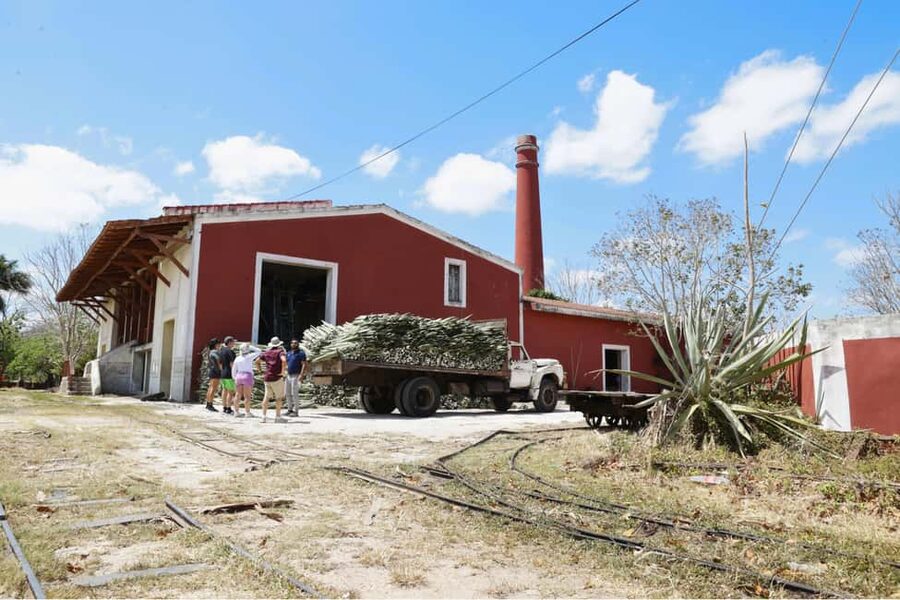 Motul, Hacienda, Xcambo, Pink Salt Mine & Progreso Day Trip - Transport, guiding, and the actual cost