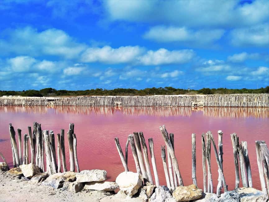 Motul, Hacienda, Xcambo, Pink Salt Mine & Progreso Day Trip - Who will enjoy this tour most