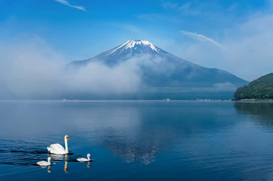 Mount Fuji Private Day Trip With Customizable Itinerary - Hakone Ropeway and Owakudani’s volcanic valley