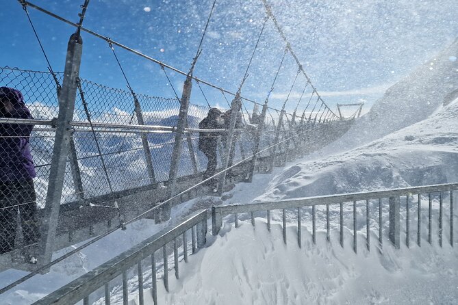 Mount Titlis Half-Day Trip from Lucerne - Snow tubing and the first-timers ski option