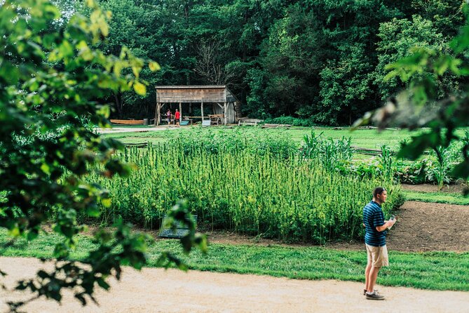 Mount Vernon and Old Town Alexandria Day Trip from Washington DC - The $99 value