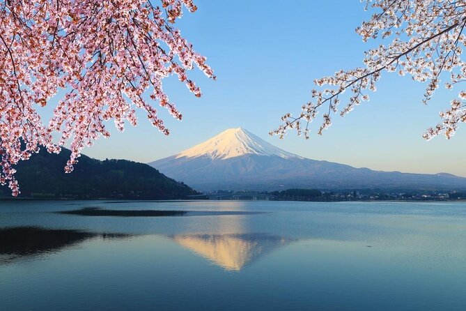 Mt. Fuji Day Trip from Tokyo with English Speaking Driver Guide - A private road to Japan’s most famous mountain
