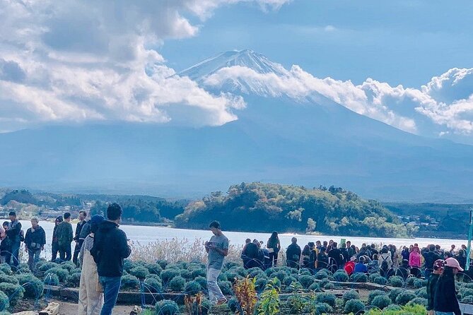 Mt. Fuji Day Trip from Tokyo with English Speaking Driver Guide - What $497.43 really buys you