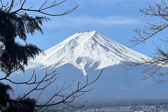 Mt. Fuji Day Trip from Tokyo with English Speaking Driver Guide - Kitaguchi Hongu Fuji Sengen Shrine adds a spiritual side