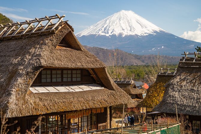 Mt Fuji Private Day Trip from Tokyo with English speaking driver - Lake Kawaguchiko and Oishi Park